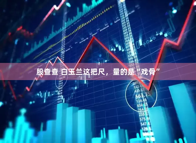 股查查 白玉兰这把尺，量的是“戏骨”