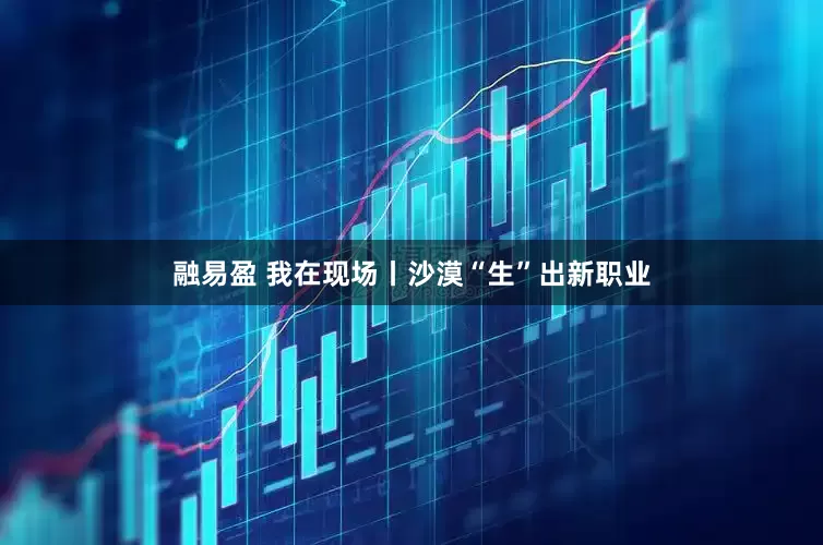 融易盈 我在现场丨沙漠“生”出新职业