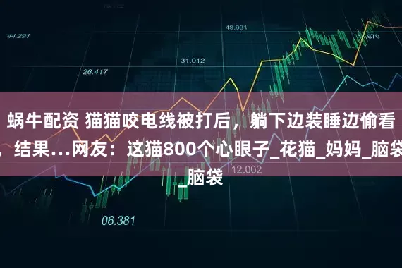 蜗牛配资 猫猫咬电线被打后，躺下边装睡边偷看，结果…网友：这猫800个心眼子_花猫_妈妈_脑袋